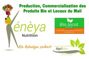 Kénèya-Nutrition_AGRIBIO-Mali_Logo