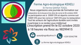 Ferme_Agroecologique_Kekeli_10