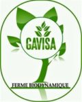 Logo_GAVISA