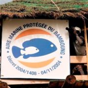 La naissance d’une protection durable dans les fleuves du Sénégal.