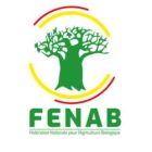 Logo_FENAB2