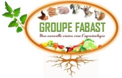 Groupe-Fabast_Logo