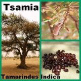 SSF_Tamarindus-Indica_Tsamia