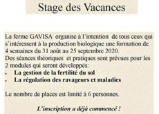 Gavisa-Togo_08