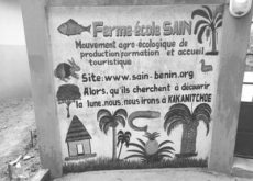 Benin_SAIN_Ferme_Ecole_08