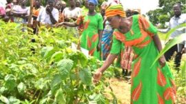 Ghana_Agroecology_Asaloko_ Women_group