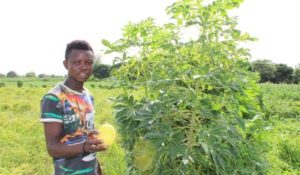 Ghana_Agroecology_Karaminga_Ibrahim_Salifu_Farmer