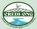 CREDI-ONG_Logo