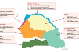 DyTAES_Carte_Les_6_grandes_Regions_Senegal